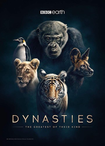 დინასტიები (ქართულად) / Dynasties / Dinastiebi 