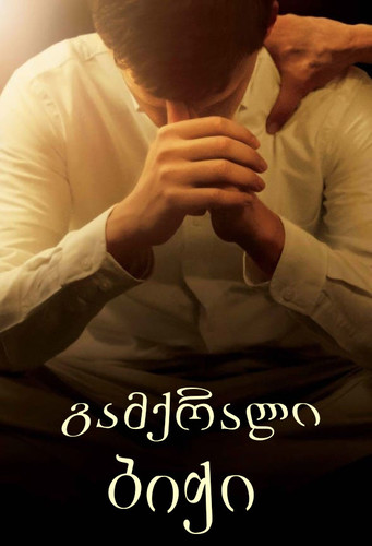 გამქრალი ბიჭი (ქართულად) / Boy Erased / Gamqrali Bichi 