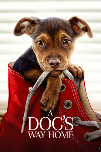 ძაღლის გზა შინისაკენ (ქართულად) / A Dog's Way Home / Dzaglis Gza Sinisaken 