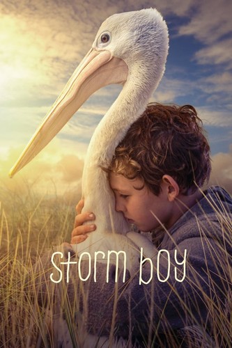 ბიჭი-გრიგალი (ქართულად) / Storm Boy / Bichi-Grigali 