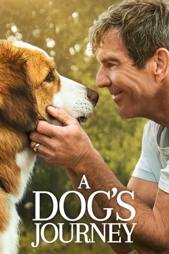 ძაღლური ცხოვრება 2 (ქართულად) / A Dog's Journey / Dzagluri Cxovreba 2 