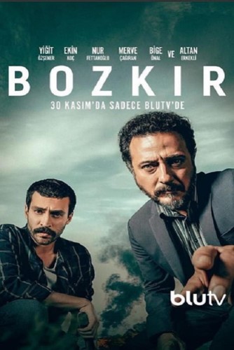 ველი (ქართულად) / Bozkir / Veli 