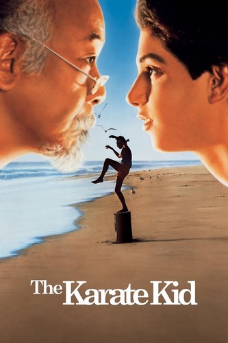 კარატისტი ბიჭუნა (ქართულად) / The Karate Kid / Karatisti Bichuna 