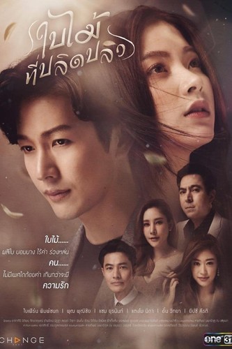 დაცემული ფოთოლი / The Fallen Leaf / Bai Mai Tee Plid Plew 