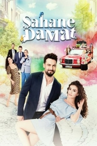 შესანიშნავი სიძე (ქართულად) / Sahane Damat / Shesanishnavi Sidze 