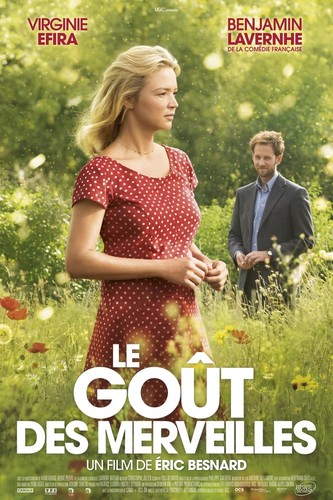 სასწაულის გემო / The Sense of Wonder / Le goût des merveilles 