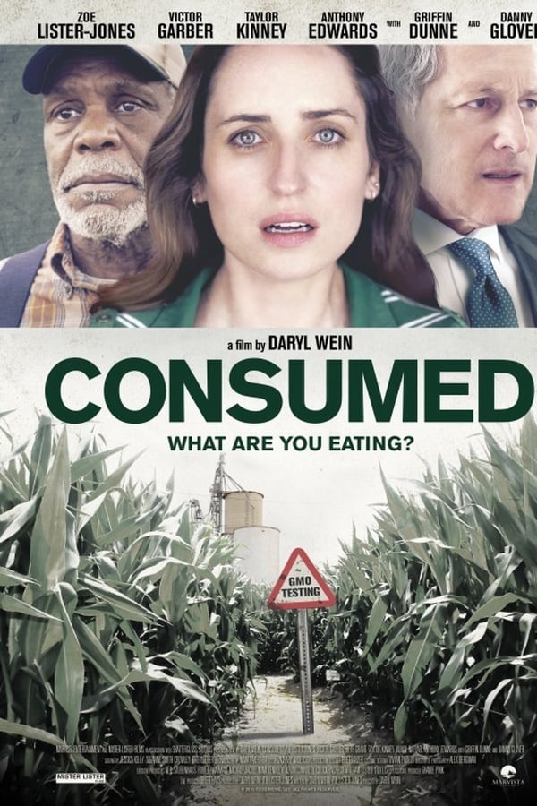 გამოყენებულია (ქართულად) / Consumed / gamoyenebulia 