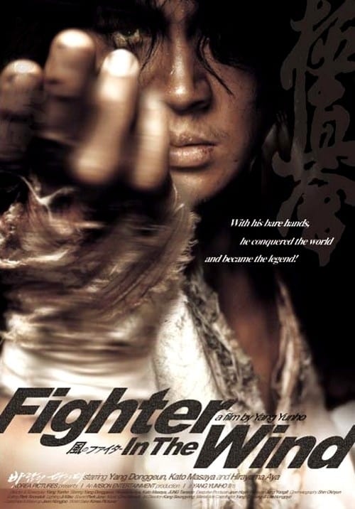 ქარის მებრძოლი (ქართულად) / Fighter in the Wind / Baramui paiteo 