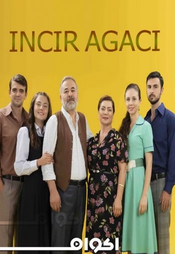 ლეღვის ხე / Incir Agaci / legvis xe 