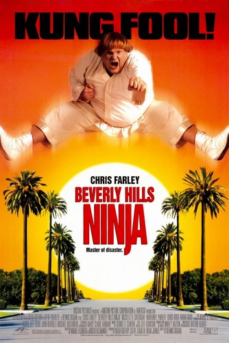 ნინძა ბევერლი ჰილზიდან (ქართულად) / Beverly Hills Ninja / Ninja Beverli Hilzidan 