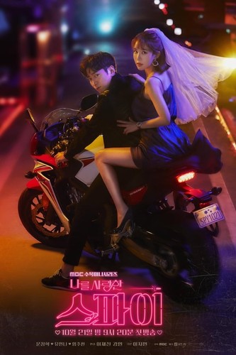ჯაშუშები, რომლებსაც ვუყვარდი / The Spies Who Loved Me / Naleul Saranghan Seupai 