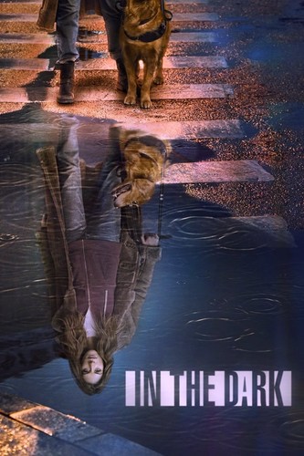 სიბნელეში / In the Dark / sibneleshi 