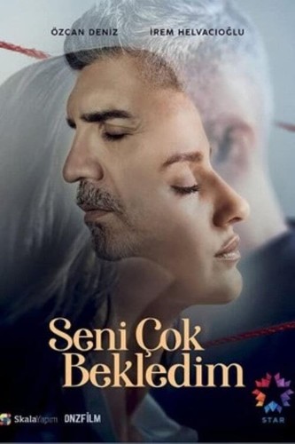 მე შენ დიდხანს გელოდი (ქართულად) / Seni Çok Bekledim 