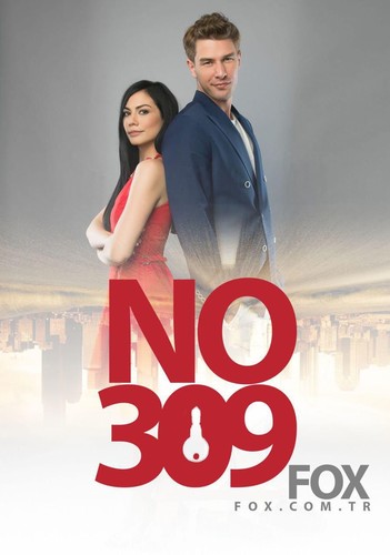 ნომერი 309 სეზონი 1,2 (ქართულად) / No: 309 / Nomeri 309 