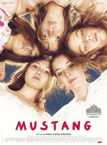 მუსტანგი (ქართულად) / Mustang / Mustangi 