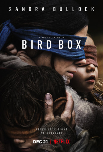 фильм ჩიტის ყუთი (ქართულად) / Bird Box / Chitis Yuti 
