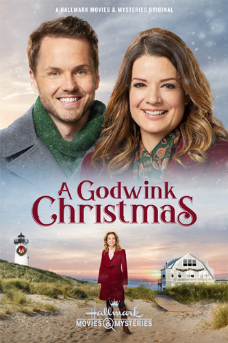 მოწყალე შობა (ქართულად) / A Godwink Christmas / Mowyale Shoba 