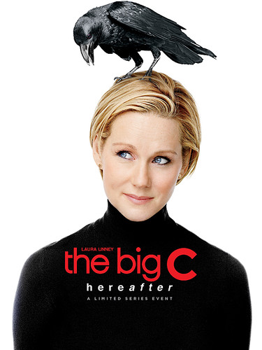 დიდი გეგმა სეზონი 1,2,3,4, (ქართულად) / The Big C / Didi Gegma 